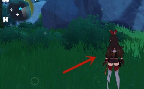 原神壶灵阿嘟的位置在哪里