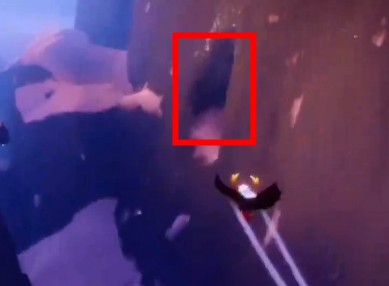 光遇圆梦村光翼在哪里