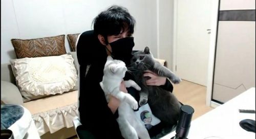 王者荣耀北慕口子哥乌龙事件始末