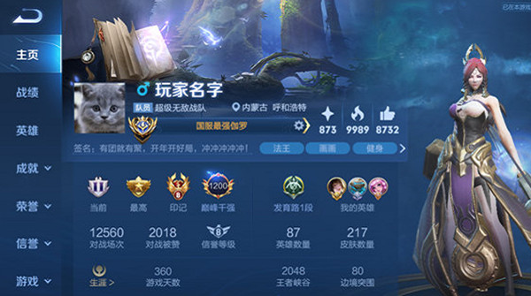 王者荣耀签名为什么出现显示在个人主页上？