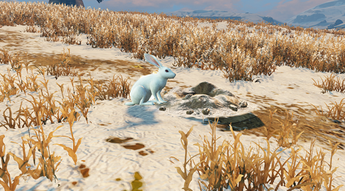 明日之后白兔在哪里抓