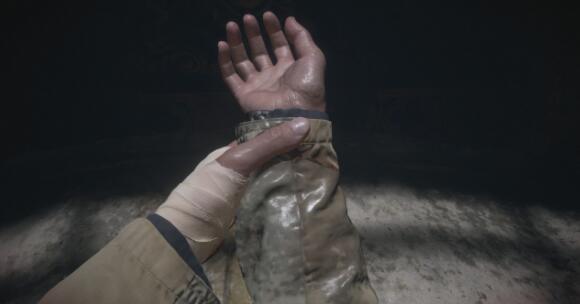 生化危机8结局是什么