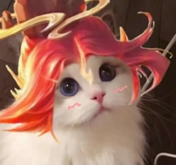 王者荣耀猫头像图片大全最新
