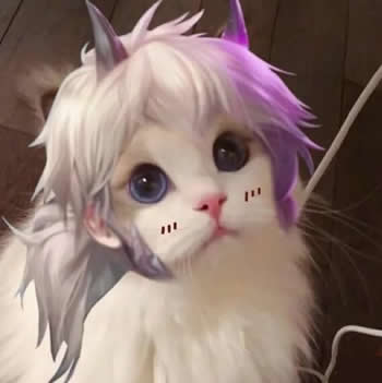 王者荣耀猫头像图片大全最新