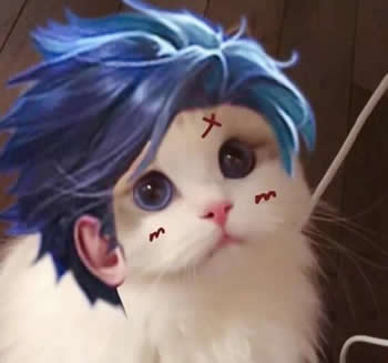 王者荣耀猫头像图片大全最新