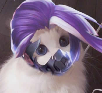王者荣耀猫头像图片大全最新