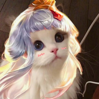 王者荣耀猫头像图片大全最新