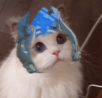 王者荣耀猫头像图片大全最新