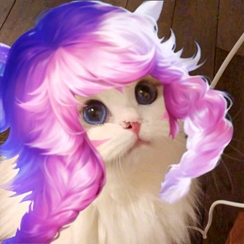 王者荣耀猫头像图片大全最新
