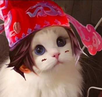 王者荣耀猫头像图片大全最新