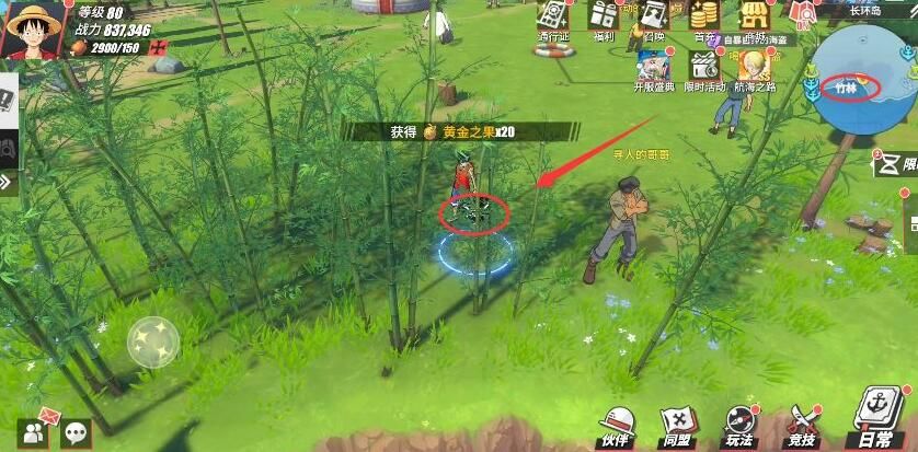 航海王热血航线长环岛的宝藏怎么找