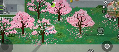 小动物之星桃花林仓鼠球神教成就怎么完成