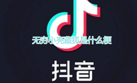 无穷小亮藏狐是什么梗