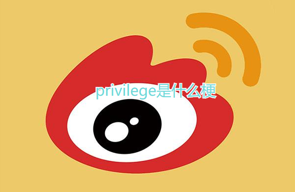 privilege是什么梗?