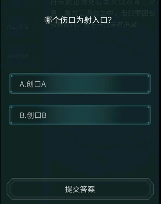 犯罪大师弹头直径7.84mm什么手枪？