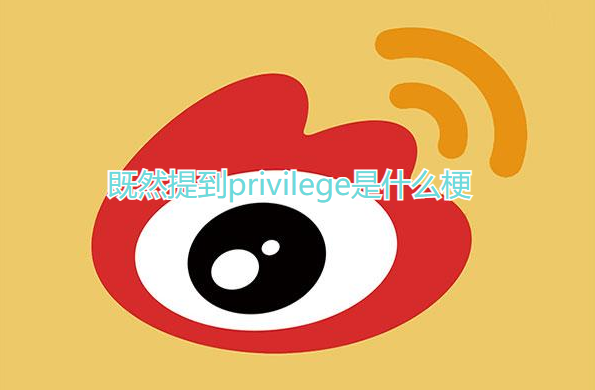 既然提到privilege是什么梗