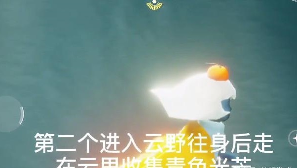 光遇5.22任务攻略 5月22日大蜡烛季节蜡烛位置大全图片3