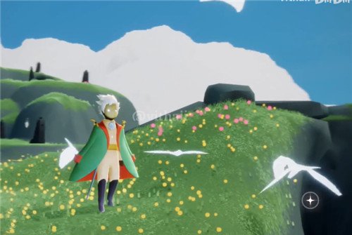 光遇小王子联动物品所有图片