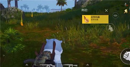 和平精英金刚结晶位置在哪里