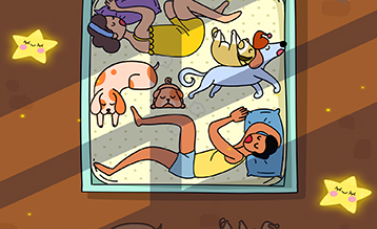 今晚早点睡第24关怎么过