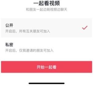 抖音一起看视频功能在哪怎么开启