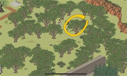 江南百景图桂海寻孤纸条怎么找