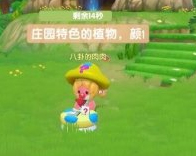 摩尔庄园怎么摆向导桌