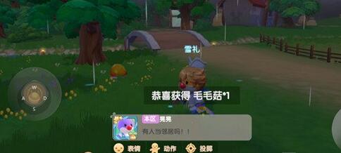 摩尔庄园手游地图的什么位置能够采集到毛毛菇？