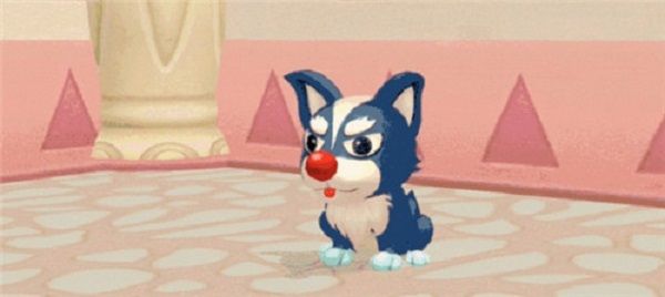 摩尔庄园手游哈士奇怎么变身?哈士奇套装变身方法图片2