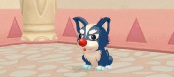 摩尔庄园手游哈士奇套装怎么变身？