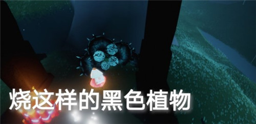 光遇6.7在仙乡的金塔下冥想任务攻略大全，6月7日任务攻略汇总[多图]图片4