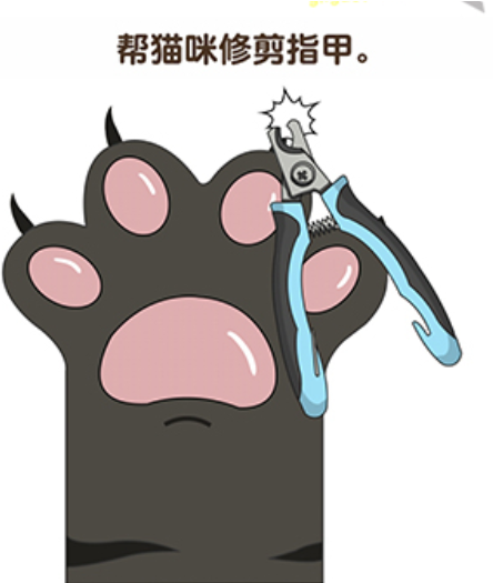 最强脑风暴第3关过关技巧