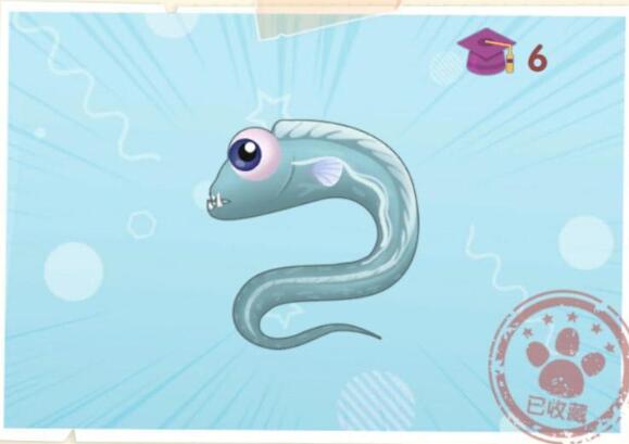 摩尔庄园手游带鱼在哪钓？带鱼位置和出没时间介绍[多图]图片2