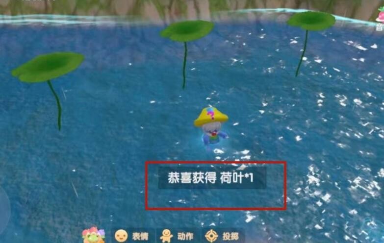 摩尔庄园手游荷叶多久刷新