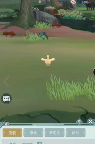 江湖悠悠武功升满阶需要多少本体 江湖悠悠武功升满阶需要多少本体