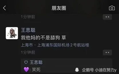 王思聪卑微求爱语录被群嘲是怎么回事？