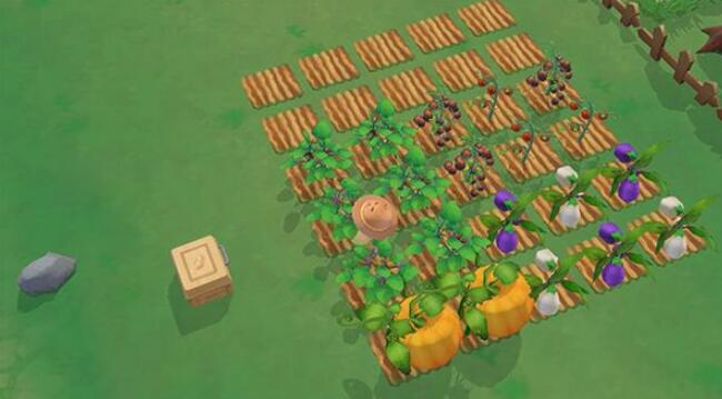 摩尔庄园手游太空种子和普通种子有什么区别