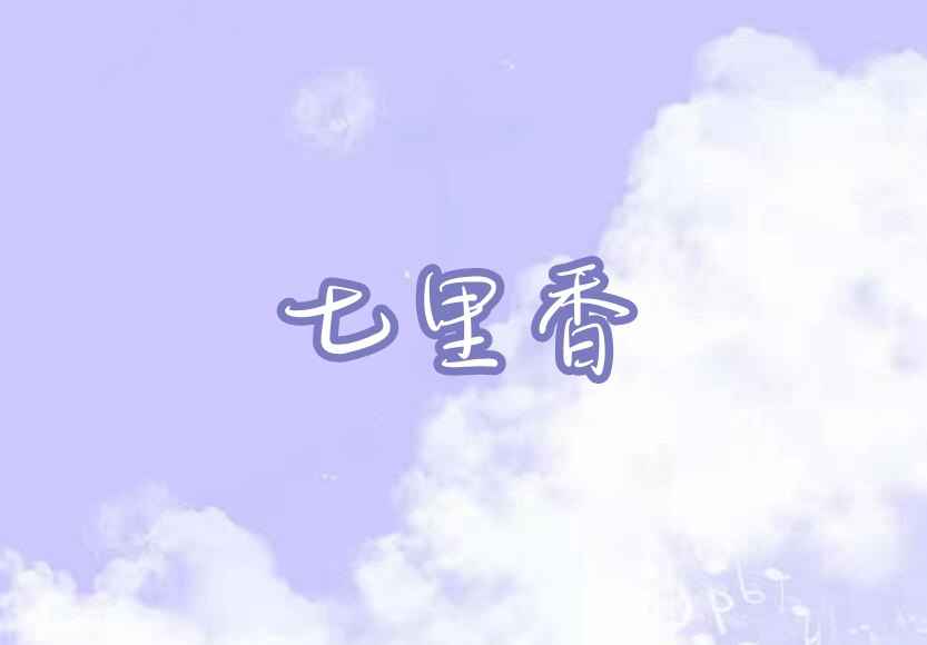 摩尔庄园手游七里香琴谱介绍