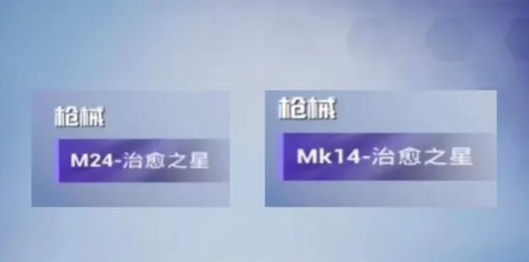 和平精英ss14是什么枪皮肤？ss14赛季手册枪械皮肤图文介绍[多图]图片2