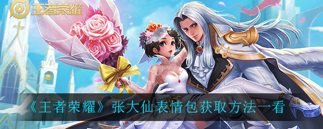 王者荣耀张大仙浪一下表情包口令码是啥？