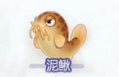 摩尔庄园手游泥鳅去哪里钓？