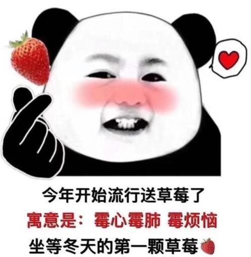 抖音冬天第一颗草莓表情包分享