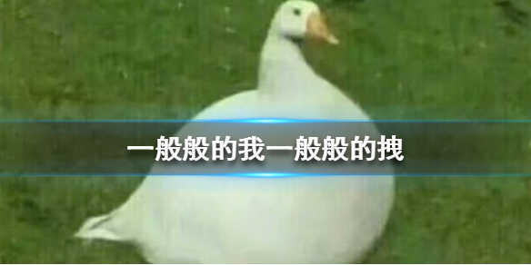 抖音一般般的我一般般的拽表情包分享
