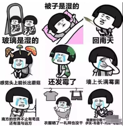 抖音回南天表情包发霉图片分享