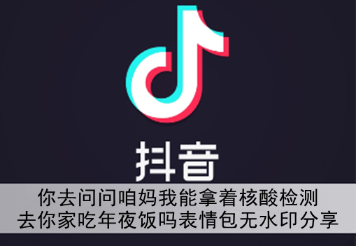 抖音你去问问咱妈我能拿着核酸检测去你家吃年夜饭吗表情包分享