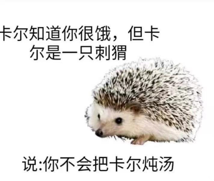 抖音小刺猬卡尔表情包分享