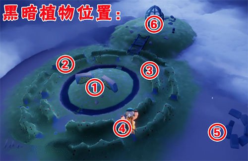 光遇小王子季第四个任务完成攻略