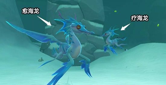 创造与魔法愈海龙饲料配方是什么