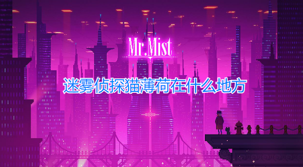 迷雾侦探猫薄荷在什么地方？