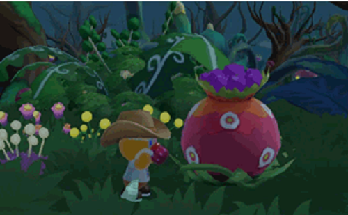 摩尔庄园手游黑森林地图攻略大全介绍